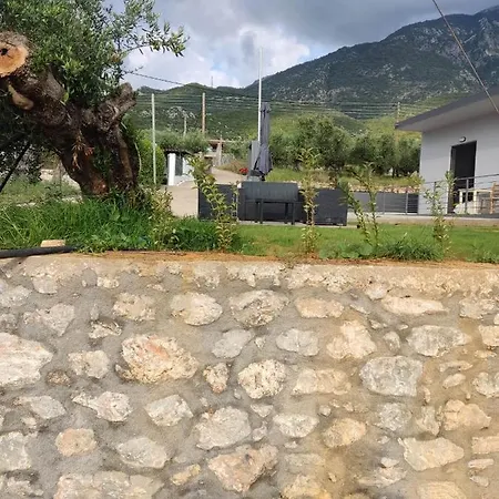 Kosta 1